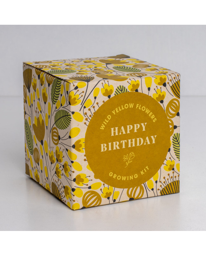 Kit de Autocultivo - Diga com Flores Feliz Aniversário