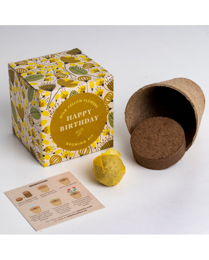 Kit de Autocultivo - Diga com Flores Feliz Aniversário