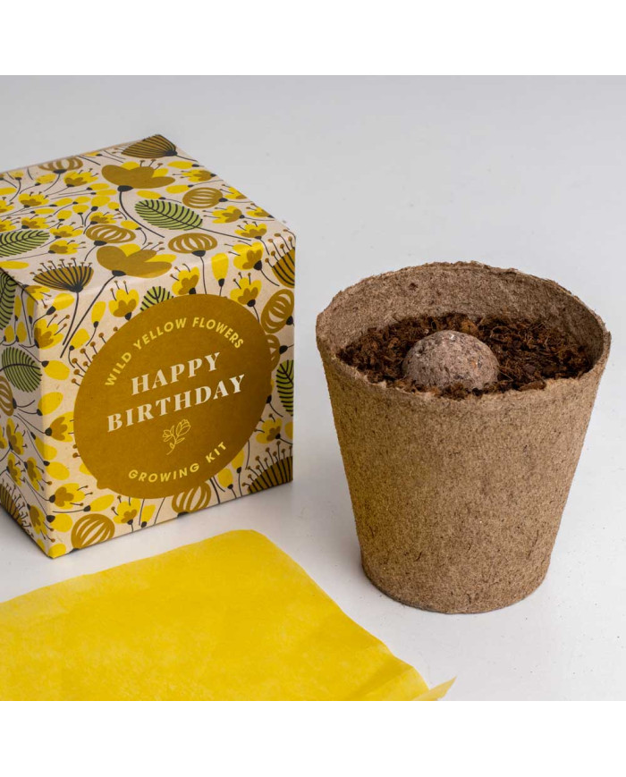 Kit de Autocultivo - Diga com Flores Feliz Aniversário