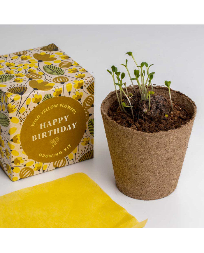Kit de Autocultivo - Diga com Flores Feliz Aniversário