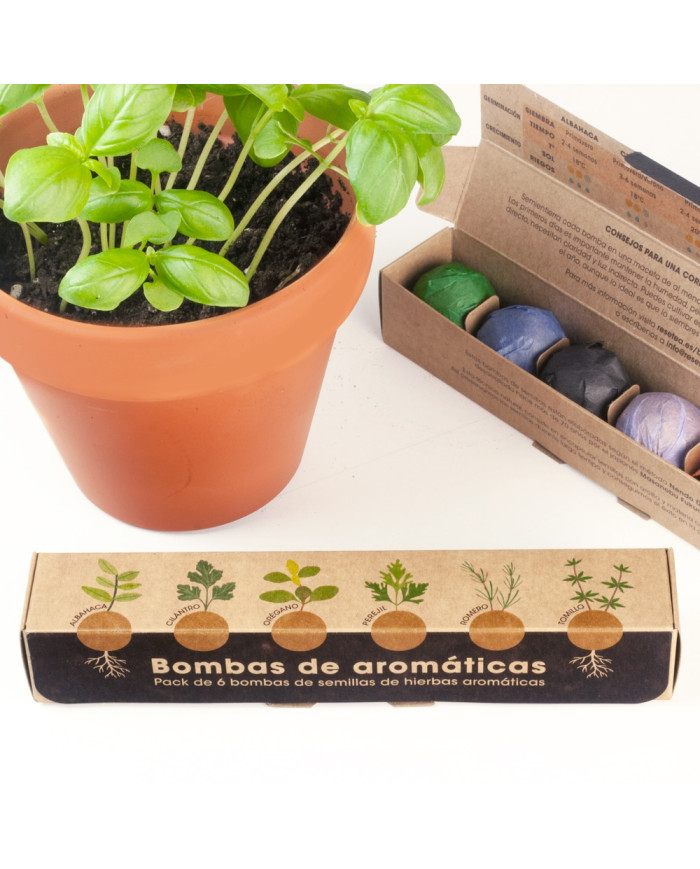 Pack 6 Bombas de Sementes - Aromáticas
