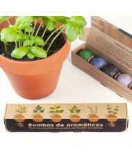 Pack 6 Bombas de Sementes - Aromáticas