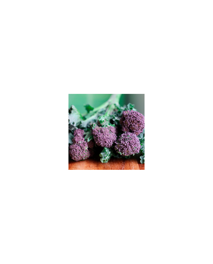 Mini Horta - Hortaliças Estranhas