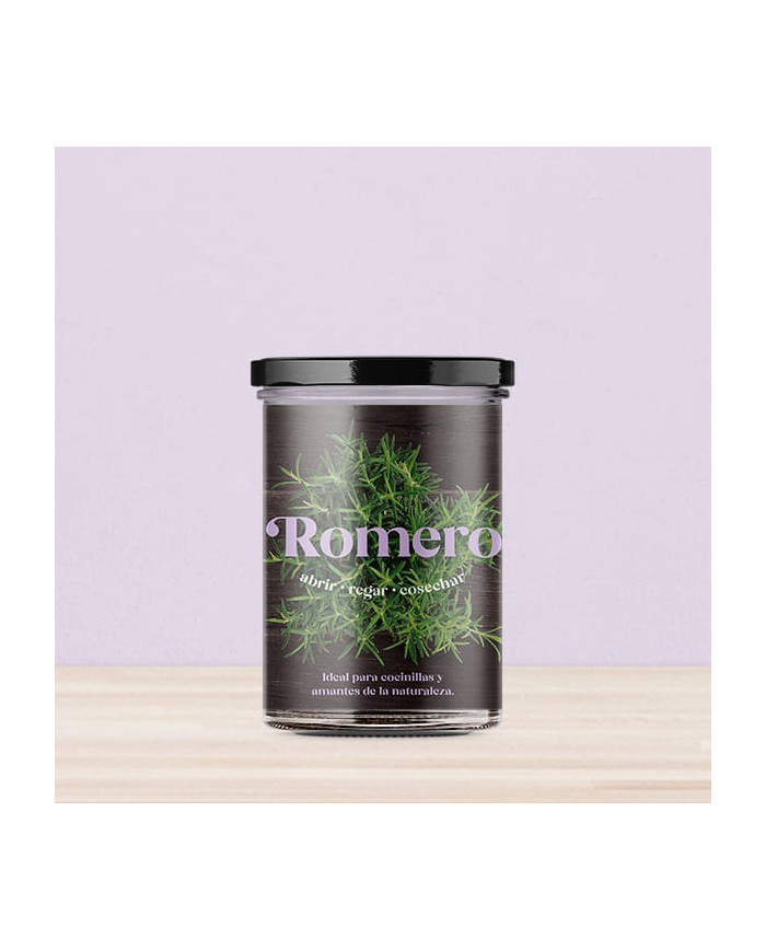 Horta Cozinha - Alecrim