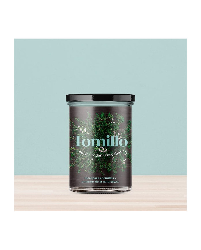Horta Cozinha - Tomilho