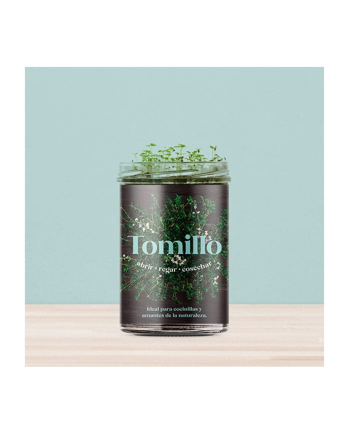 Horta Cozinha - Tomilho