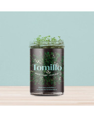 Horta Cozinha - Tomilho