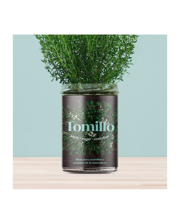 Horta Cozinha - Tomilho