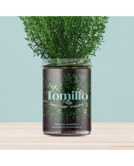 Horta Cozinha - Tomilho