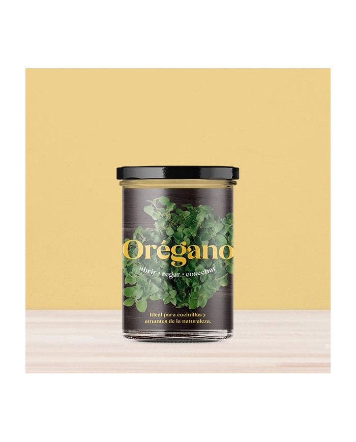 Horta Cozinha - Oregãos
