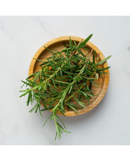 Horta Cozinha - Alecrim