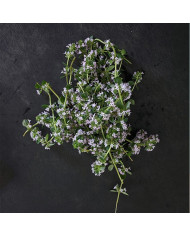Horta Cozinha - Tomilho