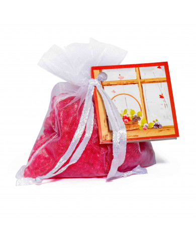 Mini Resinas Winter Fruits
