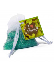Mini Resinas I Love Mint