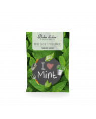 Mini Saco I love Mint