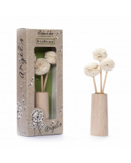 Angels Verbena